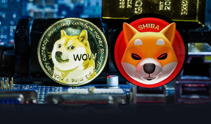 Köpek isimli kripto paralarda büyük rekabet Bitcoin  