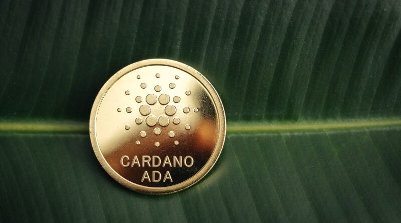 Cardano Coin geliştiricileri blok boyutunu yüzde 10 büyüttü - Ada Coin den Yeni Adım Bitcoin Yorum 2022 Coin Grafik Bitcoin  